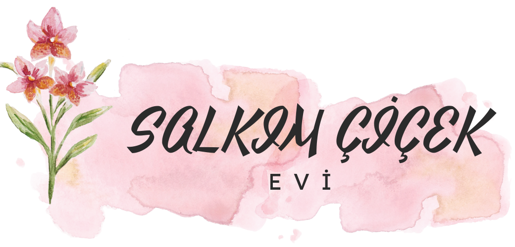 Salkım Çiçek Evi - Her güne yeni bir gül!